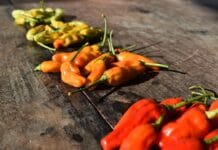 Gdzie w Grecji można spróbować autentycznych meze?