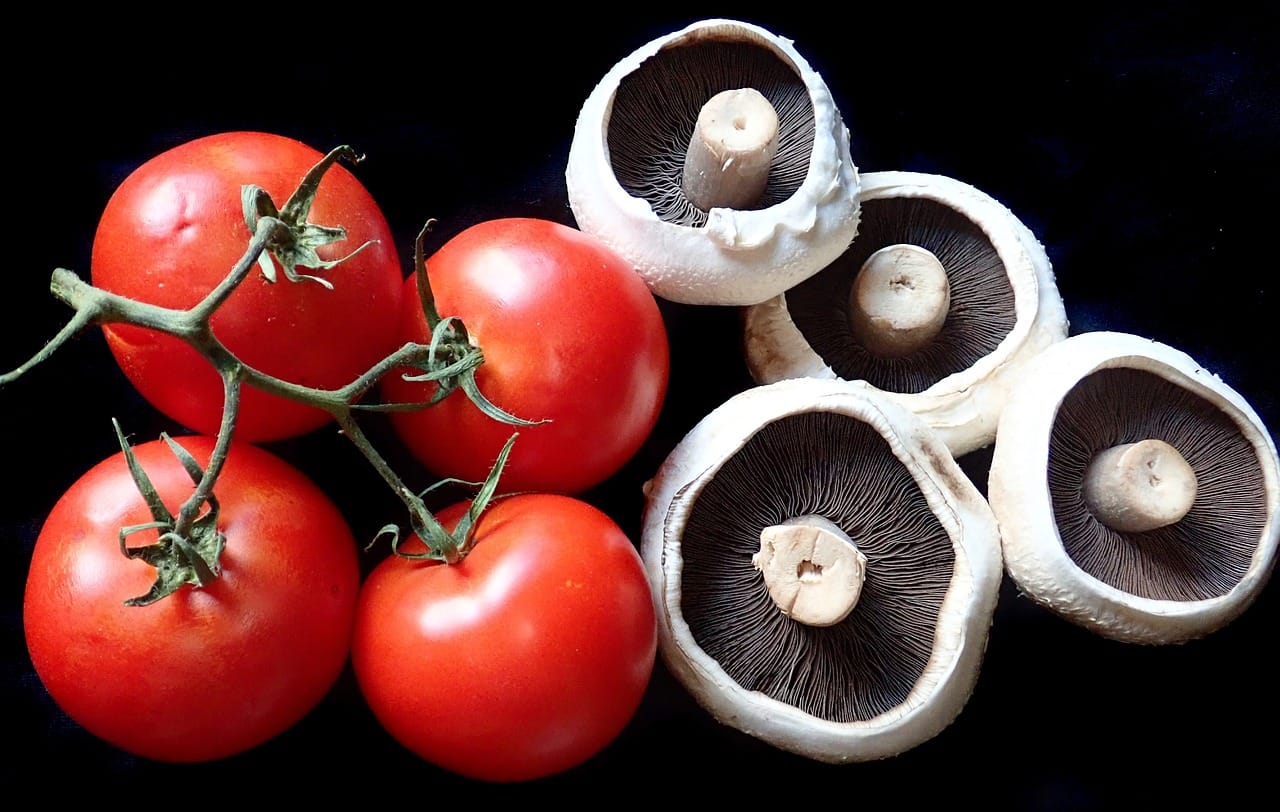 Menu sezonowe jako sposób na ograniczenie śladu węglowego