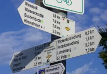 Tarnica z Wołosatego (niebieski): czas i podejścia
